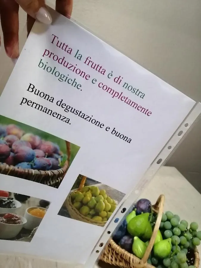 Casa Vacanze La Ca Del Cunfec 손드리오 0*,  이탈리아