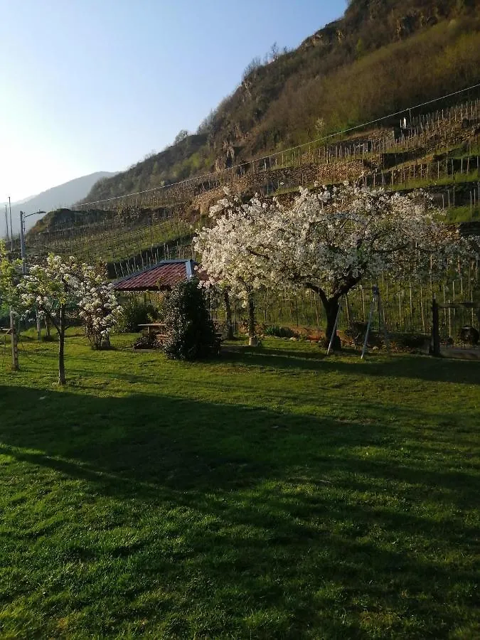 Apartment Casa Vacanze La Ca Del Cunfec Sondrio Italien