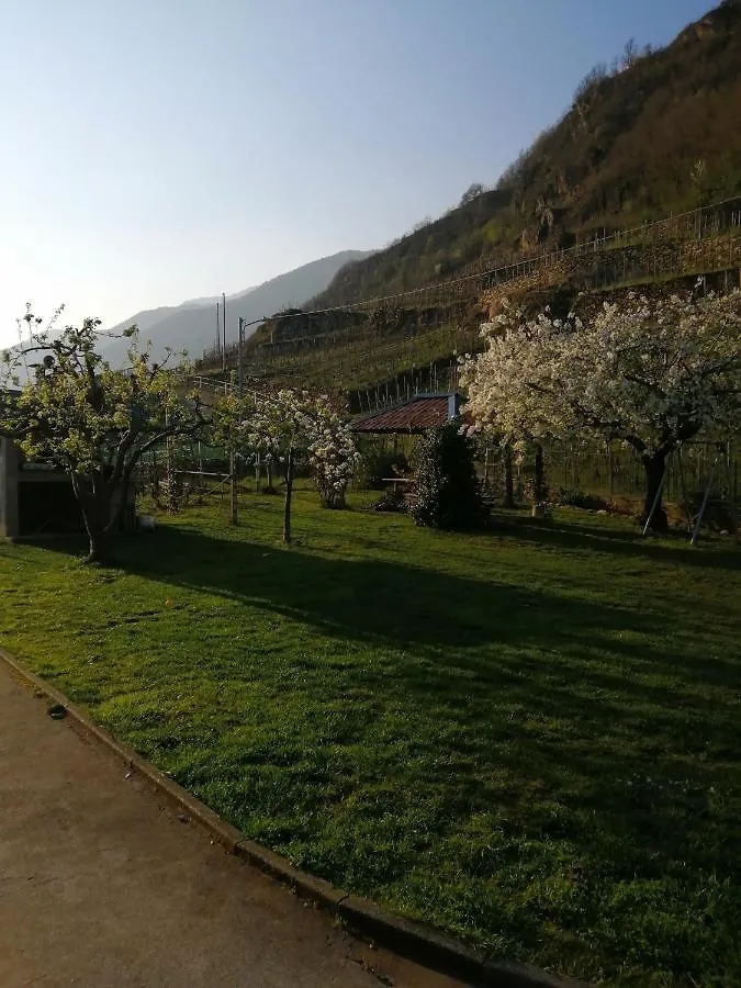 Casa Vacanze La Ca Del Cunfec Sondrio Apartment